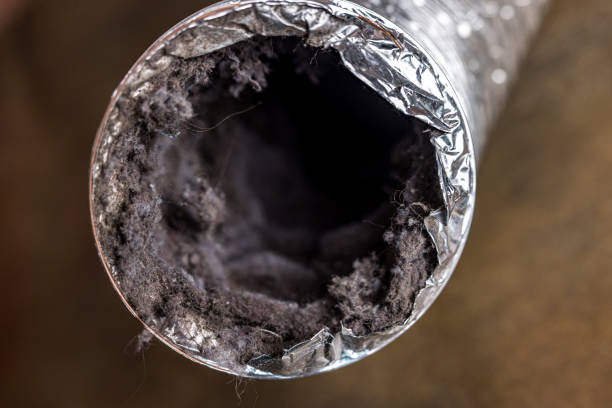 Best HVAC Duct Inspection Services  in Duarte, CA